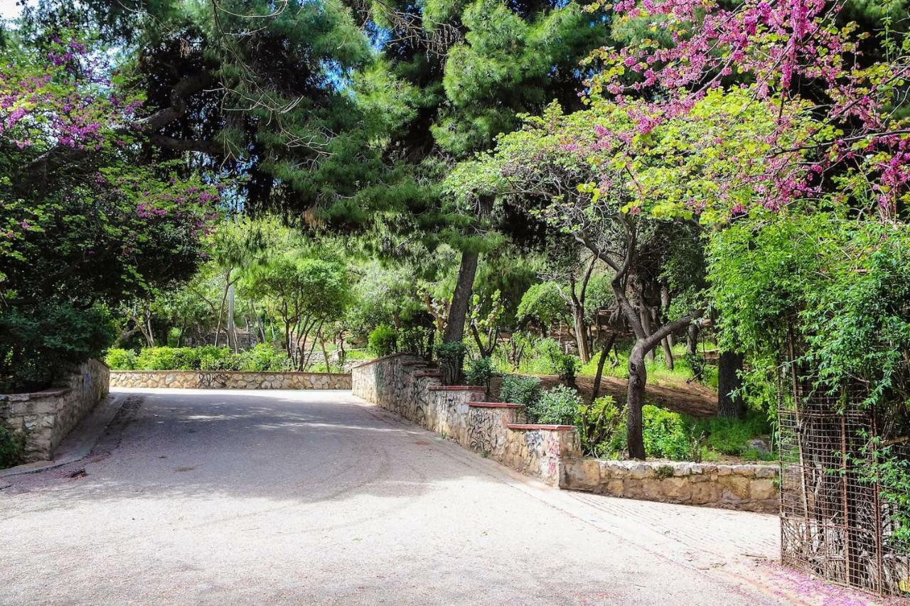 Charming Apartment Near Panathenaic Stadium ภายนอก รูปภาพ